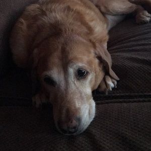 Meet your Posher, Tom